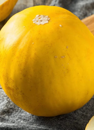 Canary Melon – 25 Seeds