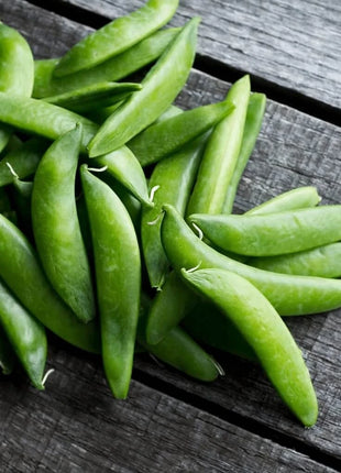 Sugar Daddy Peas – 20 Seeds