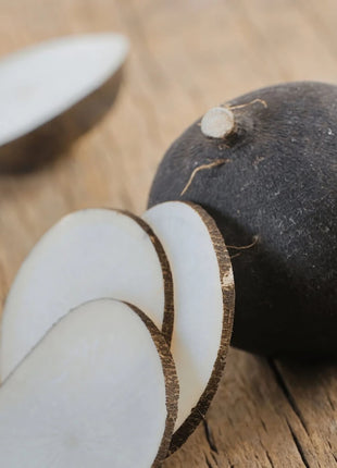 Black Spanish Radish – 250 Seeds