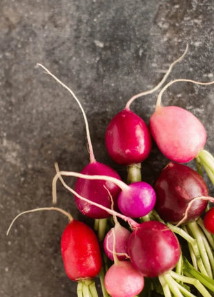 Easter Egg Radish – 250 Seeds