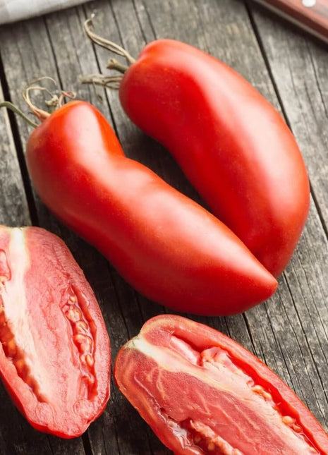 San Marzano Tomato – 50 Seeds