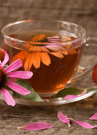 Herbal Tea Seed Collection – 6 Varieties