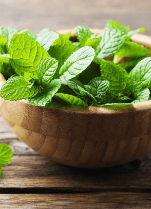 Mint – 100 Seeds