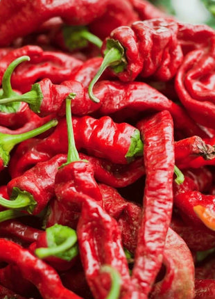 Jimmy Nardello's Pepper – 25 Seeds