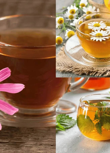 Herbal Tea Seed Collection – 6 Varieties
