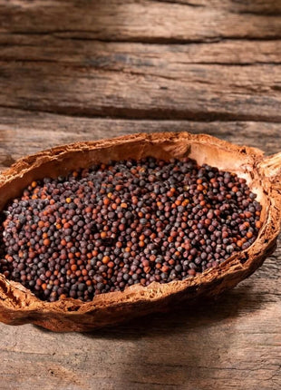 Black Mustard – 500 Seeds