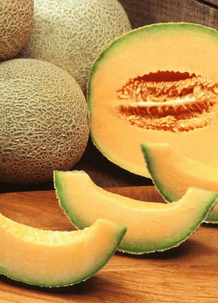 Melon Seed Collection (Watermelon • Cantaloupe • Honeydew)