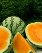 Tendersweet Orange Watermelon – 25 Seeds