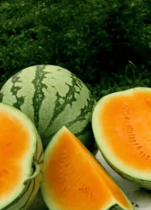 Tendersweet Orange Watermelon – 25 Seeds