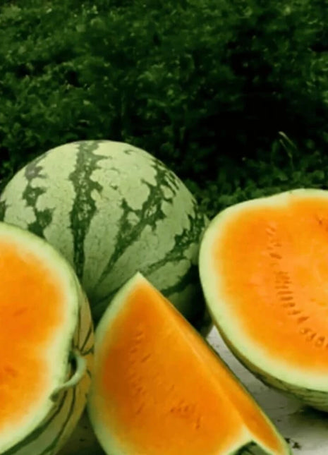 Tendersweet Orange Watermelon – 25 Seeds