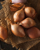 Davidor Shallot– 50 Seeds