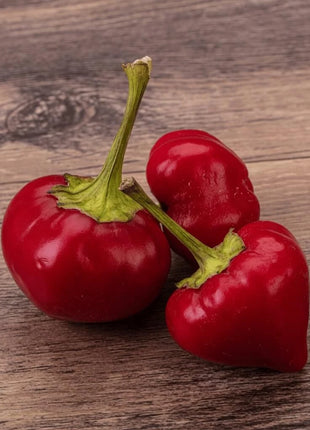 Pimento Sweet Pepper – 25 Seeds