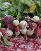 Easter Egg Radish – 250 Seeds