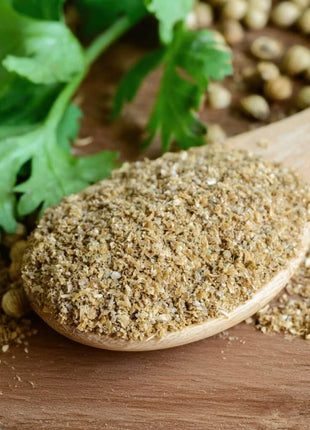 Calypso Cilantro – 100 Seeds