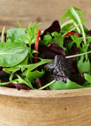 Gourmet Mix Lettuce – 500 Seeds