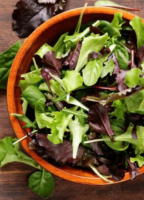 Gourmet Mix Lettuce – 500 Seeds