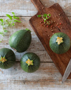Zucchini Round Summer Squash – 25 Seeds