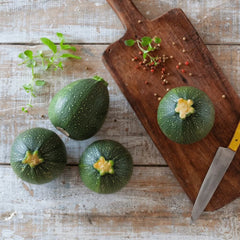 Collection image for: Zucchini