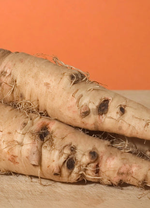 Mammoth Sandwich Island Salsify – 50 Seeds