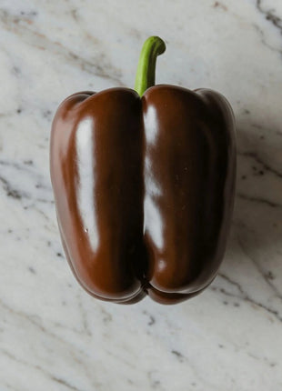 Chocolate Beauty Bell Pepper – 30 Seeds