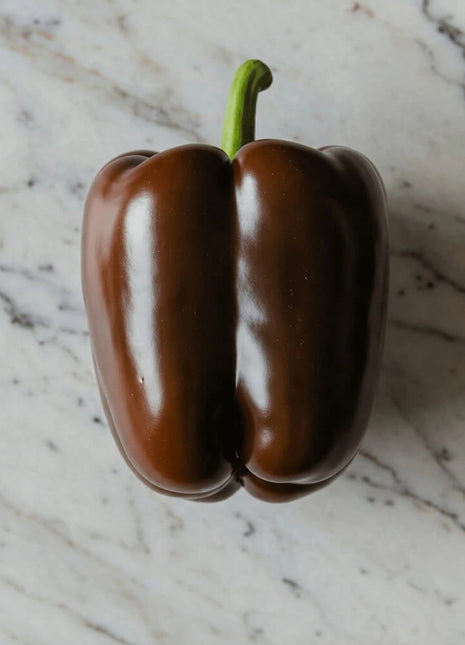 Chocolate Beauty Bell Pepper – 30 Seeds