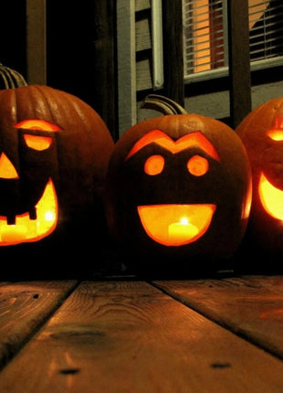 Jack O Lantern Pumpkin – 20 Seeds