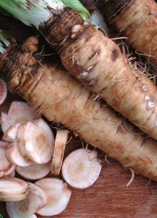 Mammoth Sandwich Island Salsify – 50 Seeds