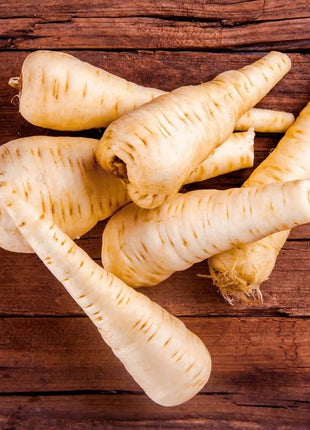 All American Parsnip – 100 Seeds