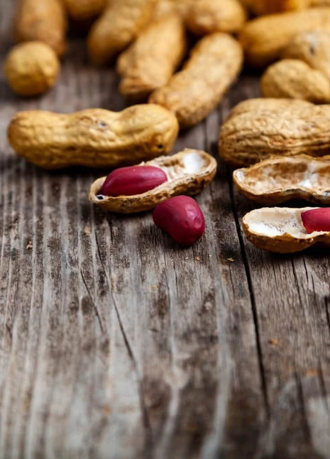 Tennessee Red Peanuts – 10 Seeds