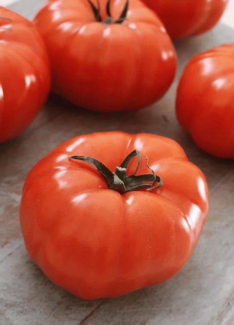 Beefsteak Tomato – 30 Seeds