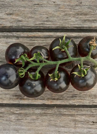 Black Cherry Tomato – 20 Seeds