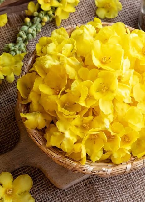 Mullein – 200 Seeds