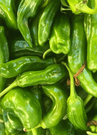 Cubanelle Sweet Pepper – 25 Seeds