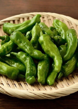 Shishito Pepper – 25 Seeds