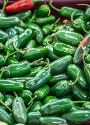 Pepper Seed Collection – 6 Essential Heirloom Peppers