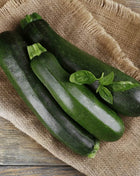Dark Green Zucchini Summer Squash – 25 Seeds