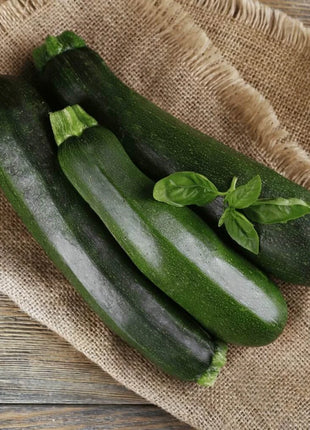 Dark Green Zucchini Summer Squash – 25 Seeds