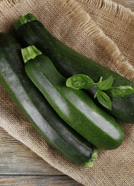 Dark Green Zucchini Summer Squash – 25 Seeds