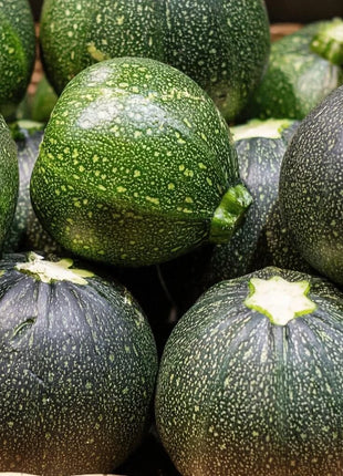 Zucchini Round Summer Squash – 25 Seeds