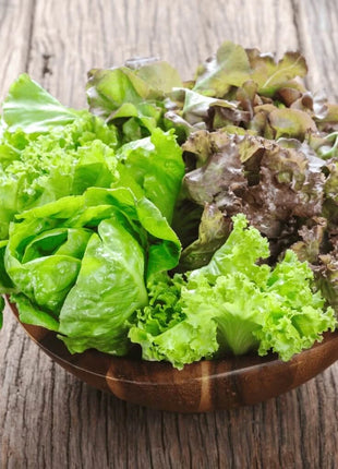 Green Ice Lettuce – 500 Seeds