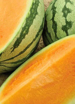 Tendersweet Orange Watermelon – 25 Seeds
