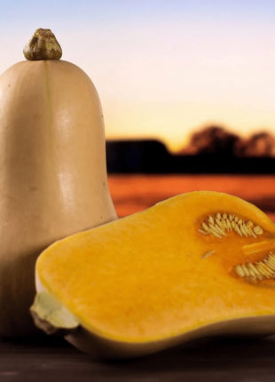 Waltham Butternut Winter Squash – 25 Seeds