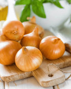 Texas Grano Early Onion – 200 Seeds