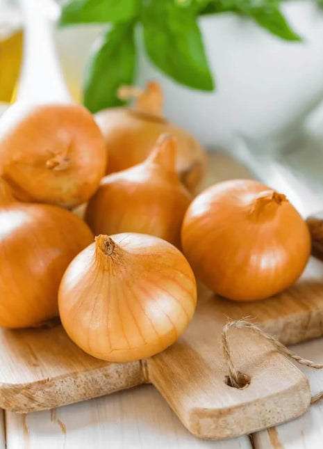 Texas Grano Early Onion – 200 Seeds