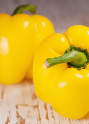 Sunbright Bell Pepper – 30 Seeds