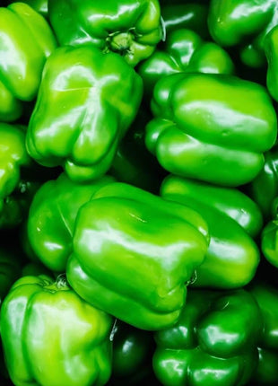 Pepper Seed Collection – 6 Essential Heirloom Peppers
