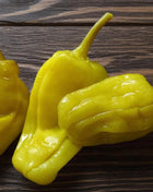 Pepperoncini Pepper – 25 Seeds