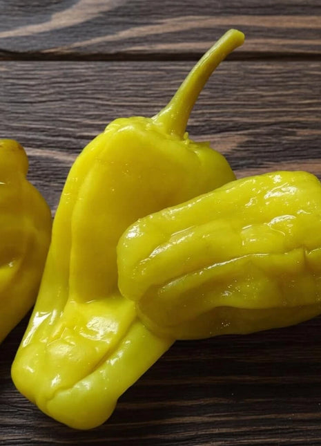 Pepperoncini Pepper – 25 Seeds