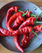 Jimmy Nardello's Pepper – 25 Seeds