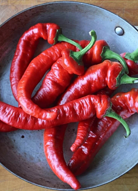 Jimmy Nardello's Pepper – 25 Seeds